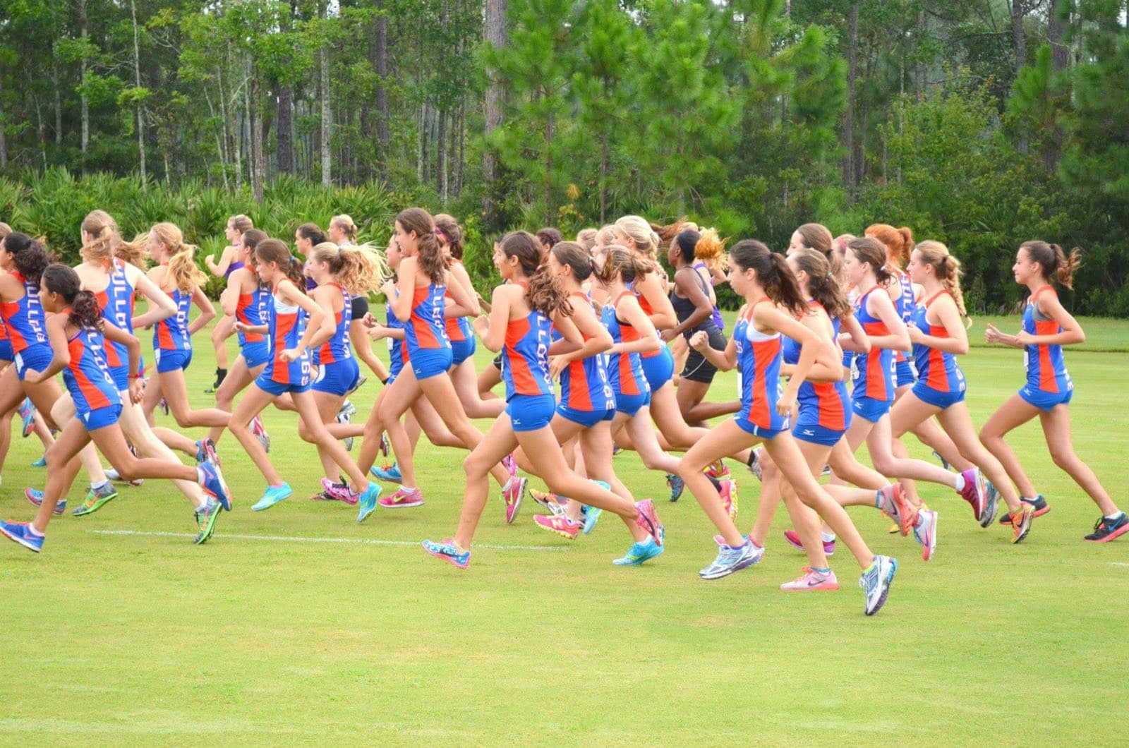 College cross country runners competing on a grass course